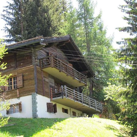 Chalet Nouchka Verb120 Villa Вербиер Екстериор снимка